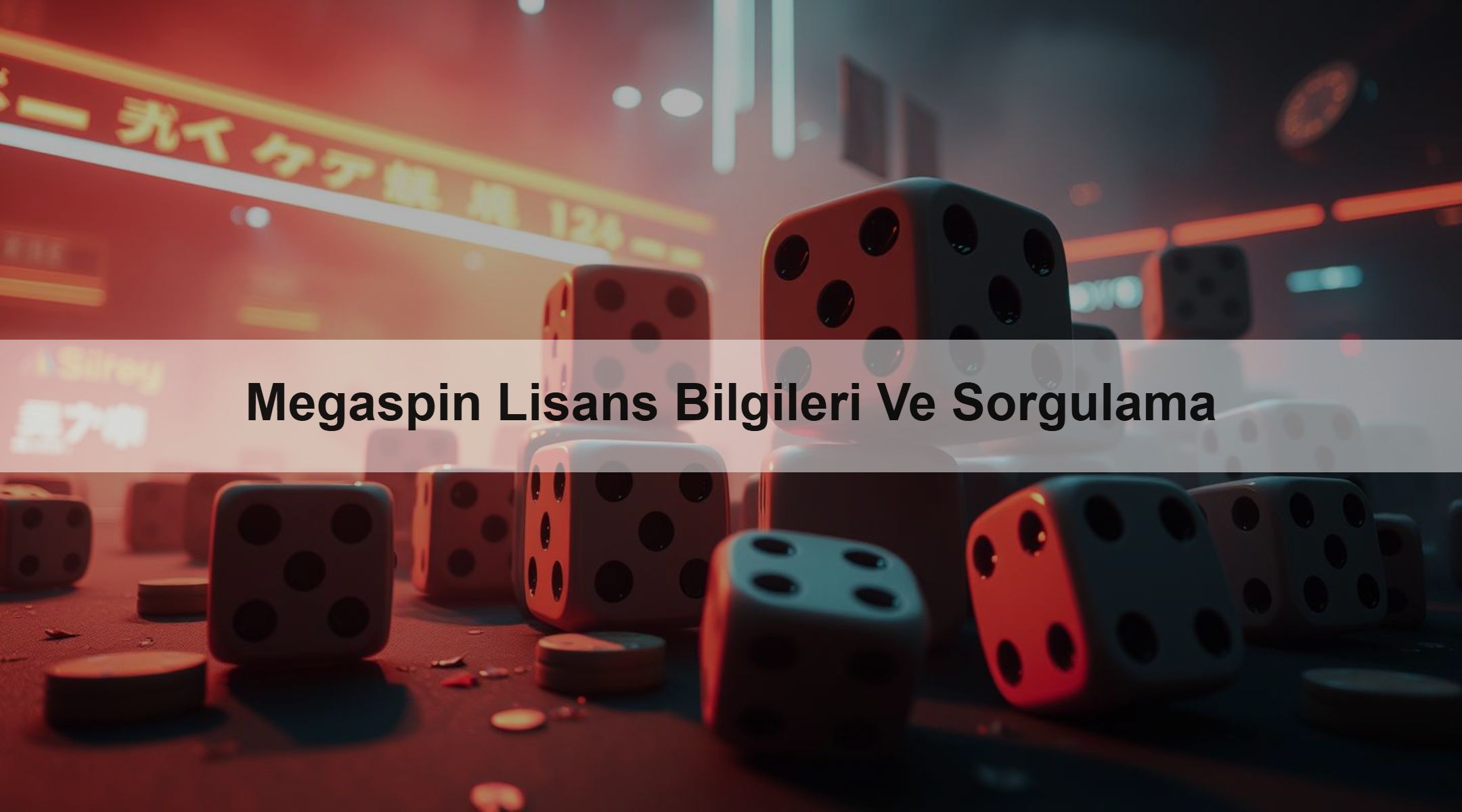 Megaspin Lisans Bilgileri Ve Sorgulama