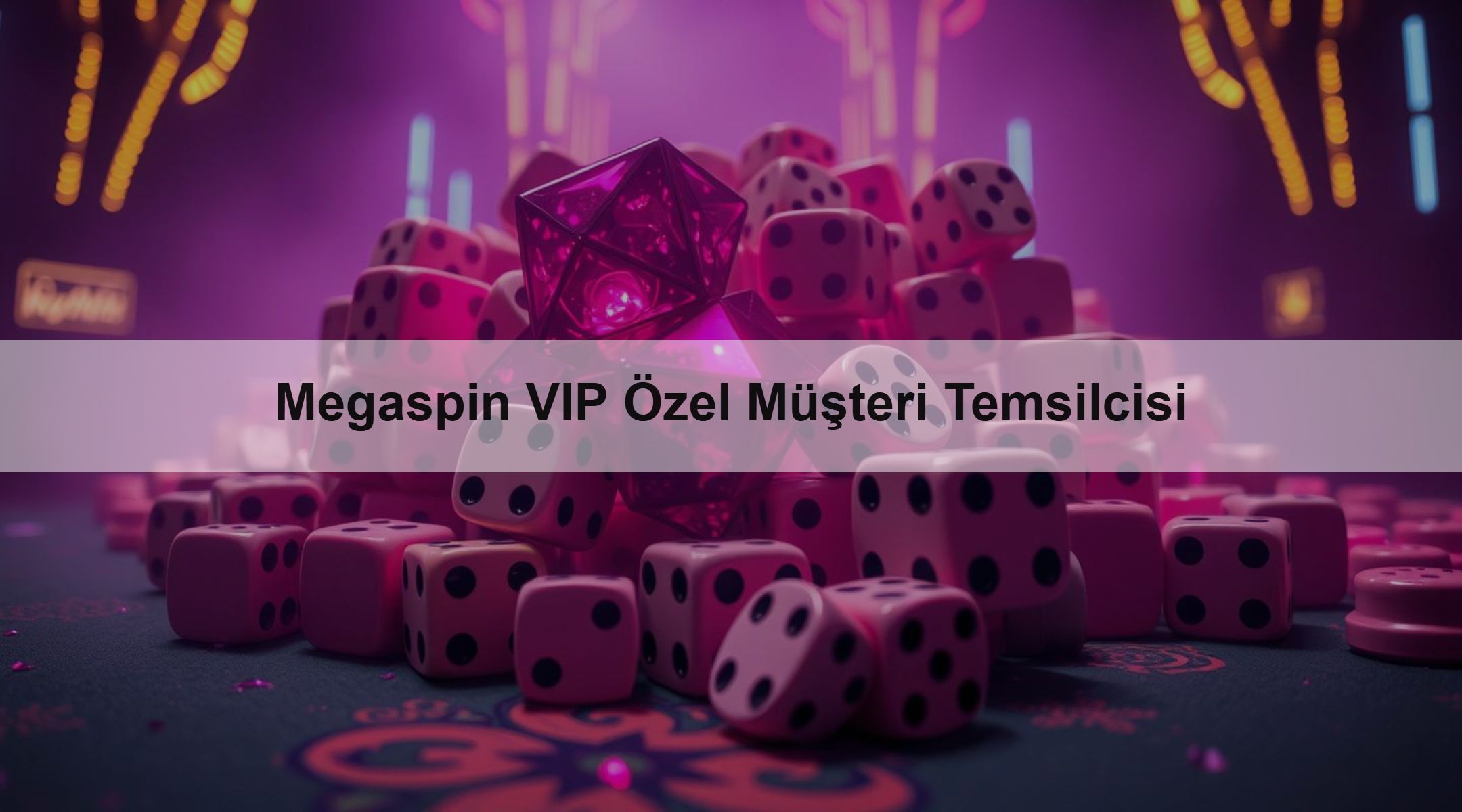 Megaspin VIP Özel Müşteri Temsilcisi