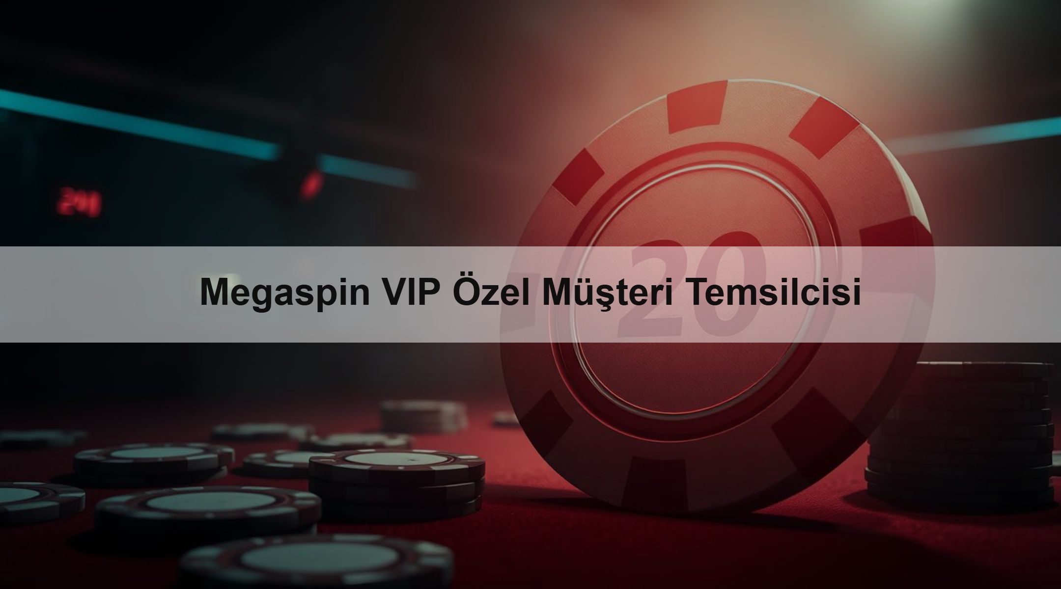 Megaspin VIP Özel Müşteri Temsilcisi